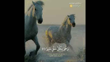 أَوَلَمْ يَرَ الْإِنْسٰنُ أَنَّا خَلَقْنٰهُ مِنْ نُّطْفَةٍ..| رعد الكردي ـ سورة يس