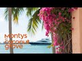 DISCOVERING MONTY'S SPECTACULAR Coconut Grove Paradise in MIAMI