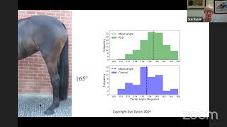 Live with Dr. Sue Dyson: Rehabbing Equine Ligament Injuries
