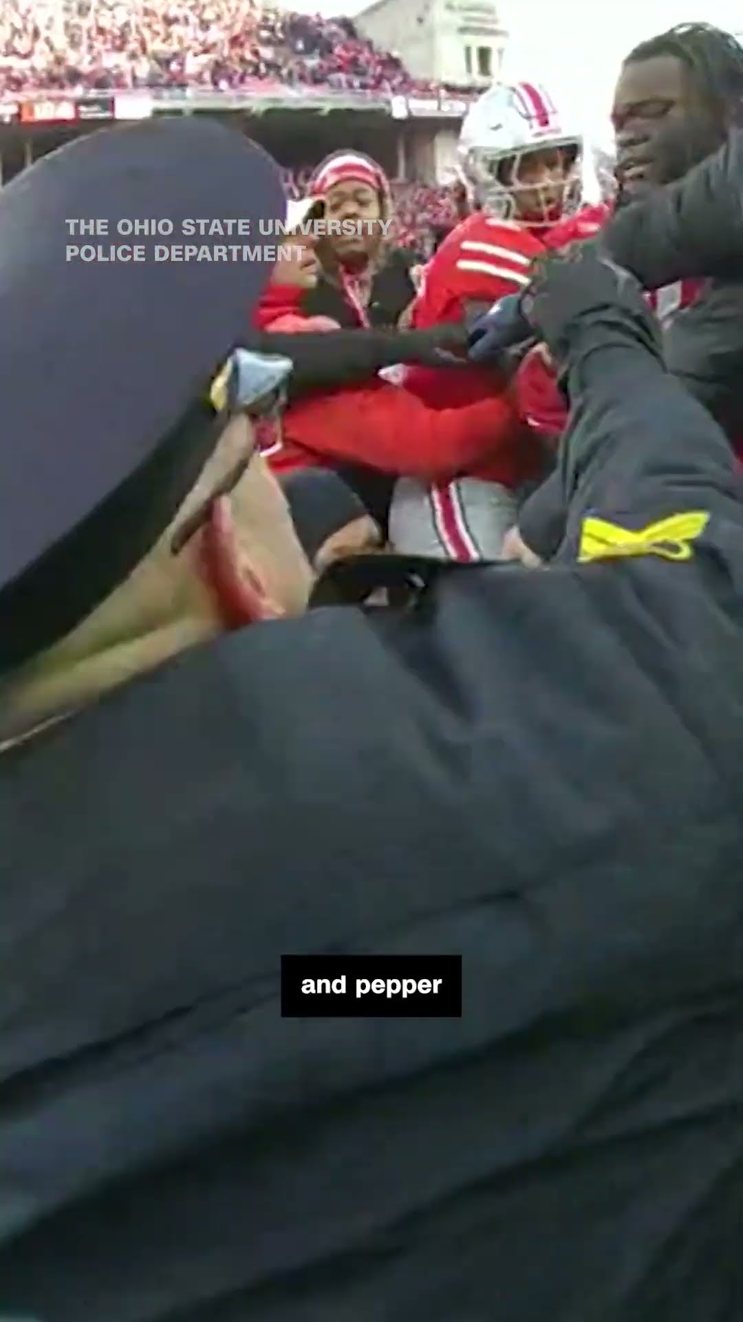 Bodycam video of Ohio State-Michigan football brawl released