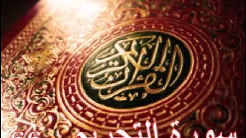 سورة التحريم - ناصر القطامي | Surah AL-Tahrim - Nasser AL-Qatami