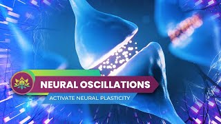 Neural Oscillations Sounds - Activate Neural Plasticity - Make Your Brain Neurons Strong