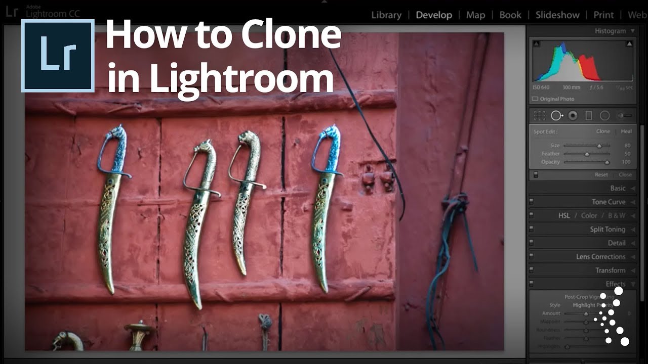 adobe lightroom free clone
