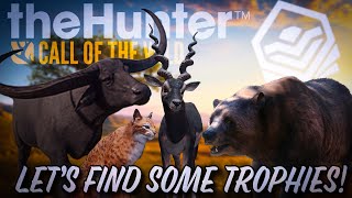 Let's search our populations of species that are being reset! | theHunter: Call of the Wild