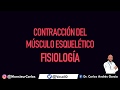 Fisiología - Contracción del Músculo Esquelético (Sarcómero, Actina y Miosina)