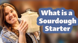 What is a Sourdough Starter