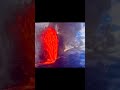 Kilauea volcano is really putting on a show right now! Towering 1,200 foot geysers of lava🌋 #volcano