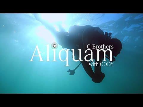YouTube-video