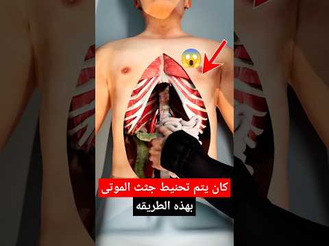 سر التحنيط الفرعوني كيف كان يتم تحنيط المومياء