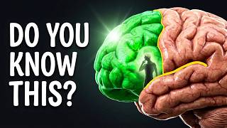 The Frontal Lobe: Why It’s the Most Important Part of Your Brain!