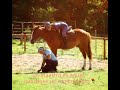 Escuelas de Equitación y Equinoterapia. Para Instructores.