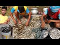 इतनी सारी मछलियां कहाँ से आई? 😱 | Fish Harvesting Sorting & Cutting Full Process 🐟🔥