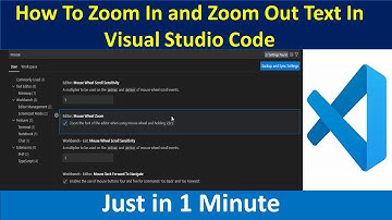 How To Zoom In and Zoom Out Text In Visual Studio Code On Windows 10/11 | College Coders |