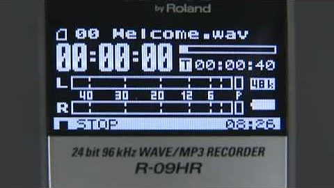 R-09HR Recorder (4/8) Playback Options