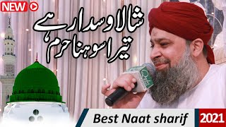 ya shafi e umam | Lillah kardo karam Punjabi Urdu Mix Naat Sharif | Shala Wsda Rehe Tera Sona Haram
