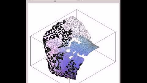 2D Cellular Automaton on a Triangulated Surface