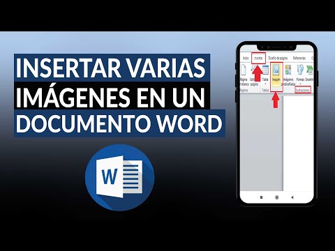 ¿Cómo insertar o
