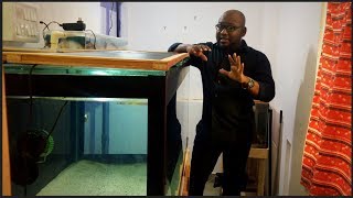 Water Cycling for a New tank | Beneficial bacteria growth Tips|