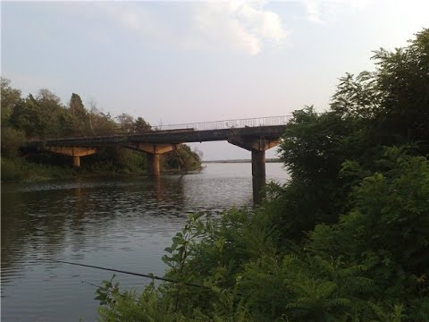 ჟინიშ ორო - სოსო კაკუბავა