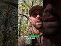 DEATH TO MYLAR BALLOONS #litter #hunting #savetheenvironment #nature #savetheplanet #backcountry