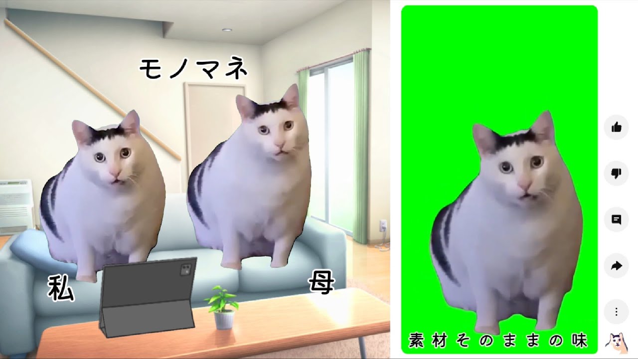 【猫ミーム】猫ミーム動画を見すぎた者の末路 - YouTube