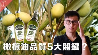 特級初榨純橄欖油教你一次弄懂橄欖油分級克里斯丁聊料理