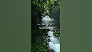 سورة الفجر كاملة للقارئ إدريس أبكر #الصلاة_على_النبي #quran #راحة_نفسية #المصحف #دويتو #اكسبلور