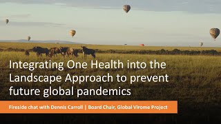 How One Health will prevent future global pandemics, by Dennis Carroll
