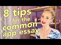 8 Common App Essay Tips to Level Up Your Personal Statement