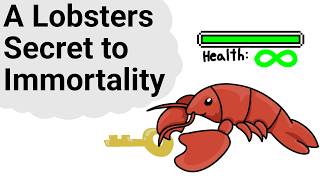 Immortality DOES Exist