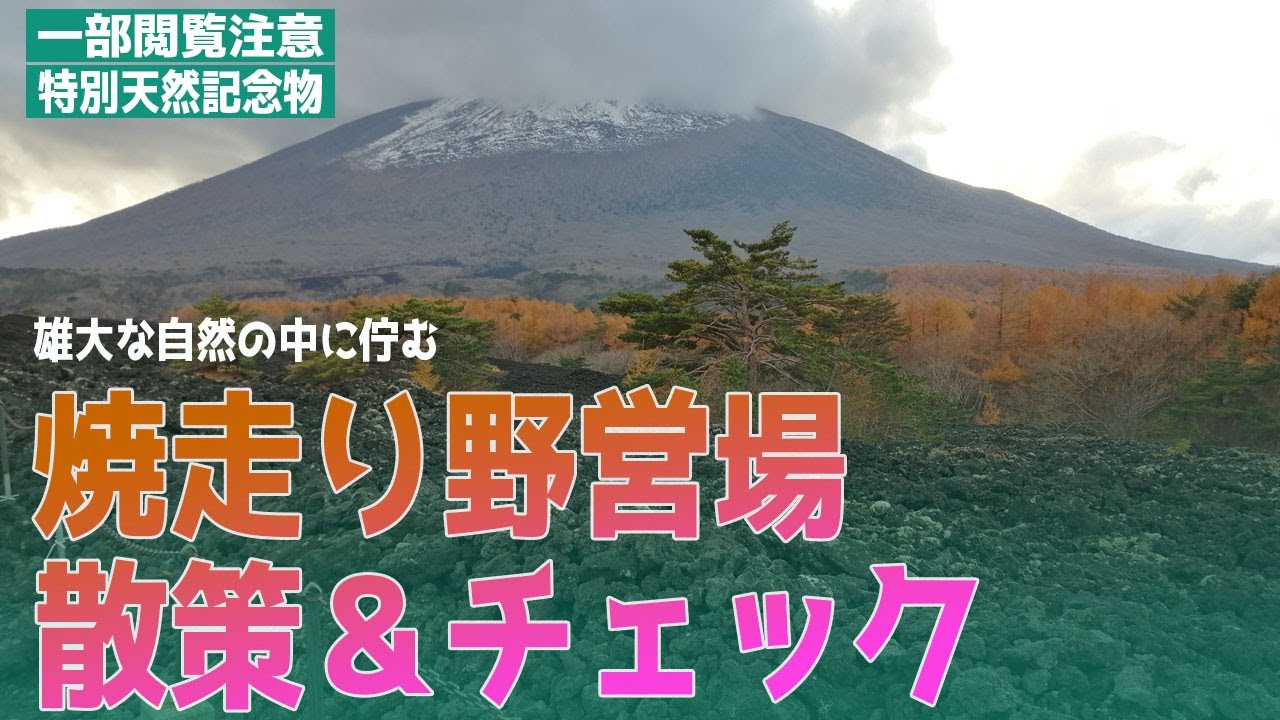 ３４焼走り野営場散策＆チェックー特別天然記念物の景観ー【岩手県八幡平市焼走り野営場】※一部閲覧注意