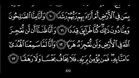 سوره الجن للشيخ هاني الرفاعي