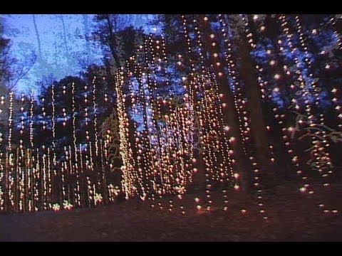 Christmas Fun Ideas Callaway Gardens Fantasy In Lights Youtube