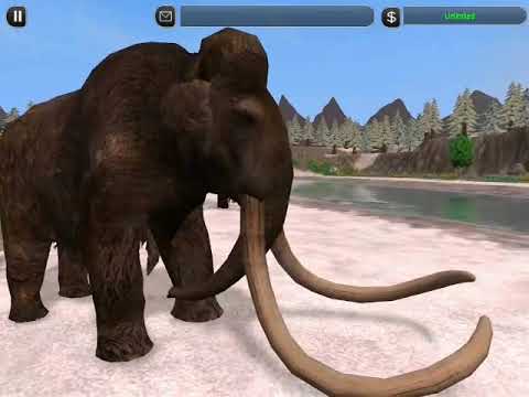 crazy dino park mammoth crazy dino park mammoth