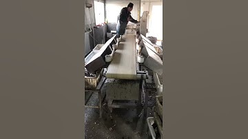 Hairy crab multi stage sorting scale