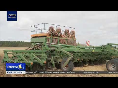 Как санкции повлияли на сельское хозяйство России