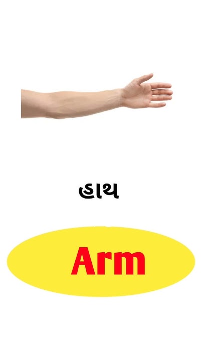 arm-meaning-in-gujarati-english-gujarati-dictionary-youtube