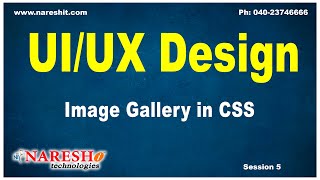 Celebrity Session: 5 | Image Gallery | CSS Tutorials | Web Technologies Tutorial Net Worth