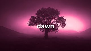 Dawn // Dreamy Ambient Music  1 HOUR