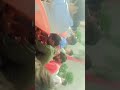 subscribe subscribe subscribe subscribe #viral #trending #love