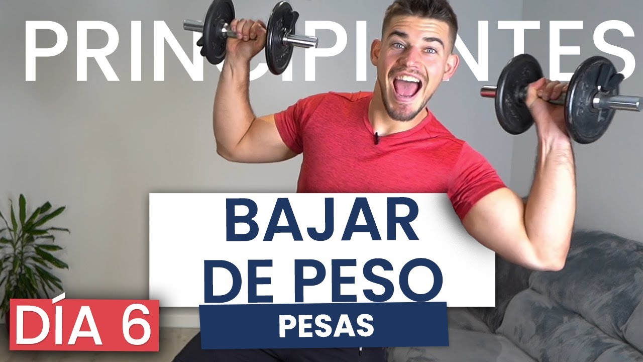 Cuál es el mejor entrenamiento con pesas para perder peso? ¡Basic-Fit te lo  detalla!