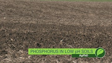 Phosphorus In Low pH Soils #1017 (Air Date 10-1-17)