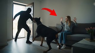 These Guard Dogs That Are Every Thief’s Worst Nightmare