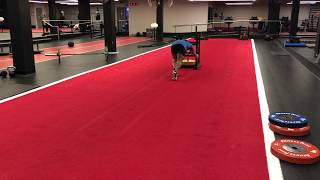 EXERCISE TUTORIAL | Prowler - Low Hand Position