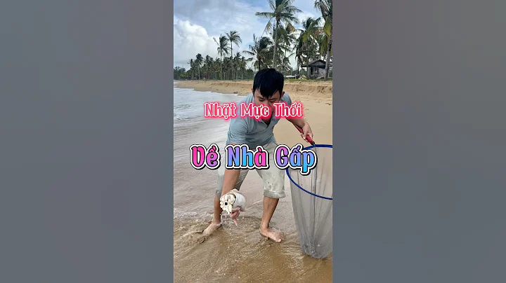 Nhặt được con mực thối này thì về nhà gấp #ductrainghiem #phuquocisland #fishing