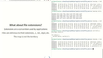 (5) Fle basics (COP-3402 Spring 2025)