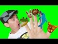 Finger Family Song - Wild Animals with Matt | Action Song, Nursery Rhyme | Learn English Kids