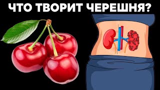 Старый Врач: Ранняя Черешня Может Вызвать Необратимые Процессы. Что Творит Черешня С Телом?