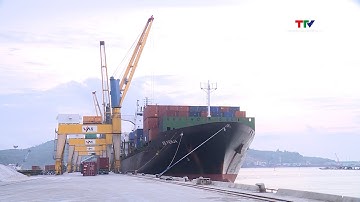 Doanh nghiệp xoay sở  ứng phó khi giá cước vận tải biển tăng cao