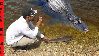 BIG GATOR is Catching SHARKS at THE BOAT RAMP! 